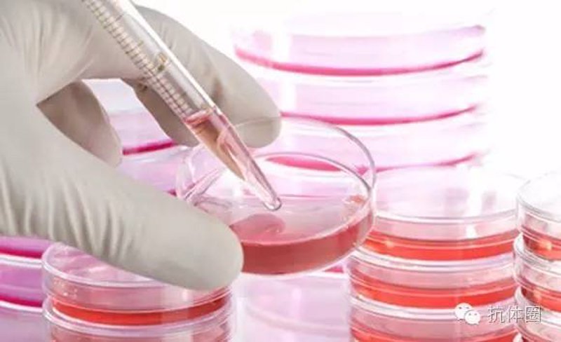 生物试剂:生命科学的导航灯塔